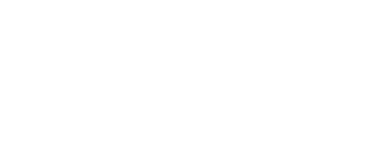 Stanhay Genuine Spare Parts logo