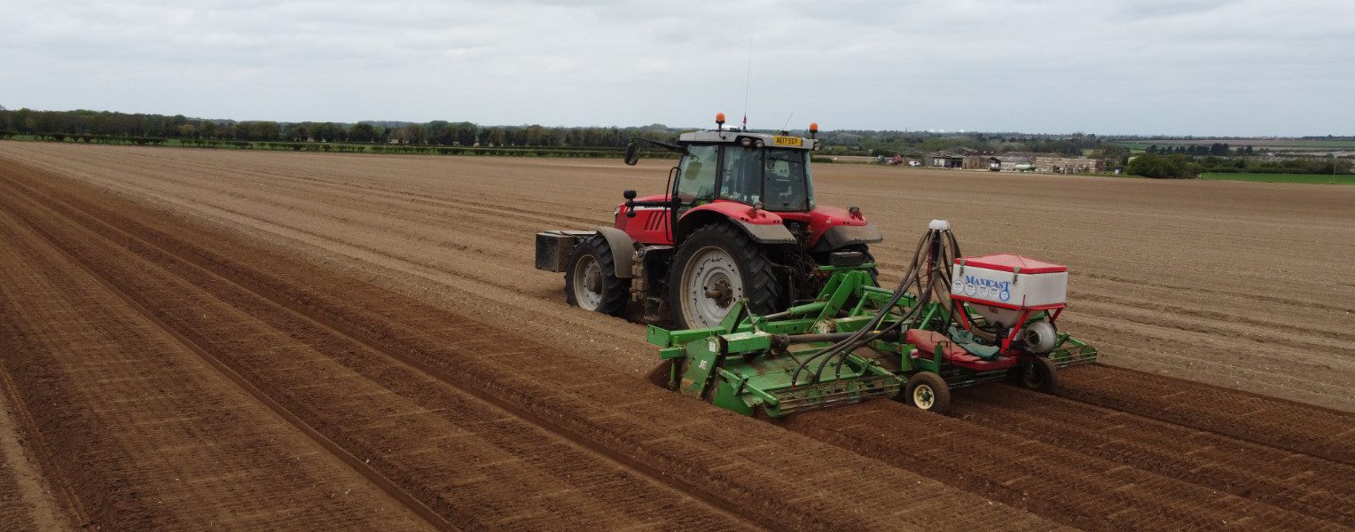 Waarom het bewerken van de grond nog steeds belangrijk is bij de commerciële productie van wortelgewassen