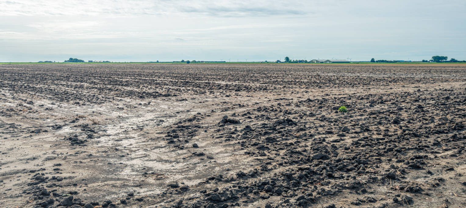 Conoscenza del settore: Le sfide del rivestimento del suolo con limo